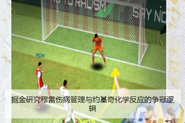 掘金研究穆雷伤病管理与约基奇化学反应的争冠逻辑