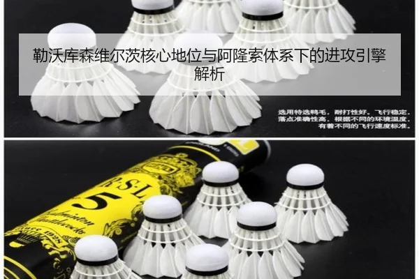 勒沃库森维尔茨核心地位与阿隆索体系下的进攻引擎解析