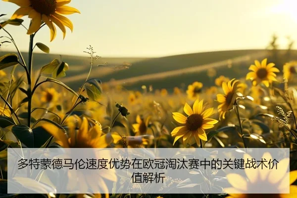 多特蒙德马伦速度优势在欧冠淘汰赛中的关键战术价值解析